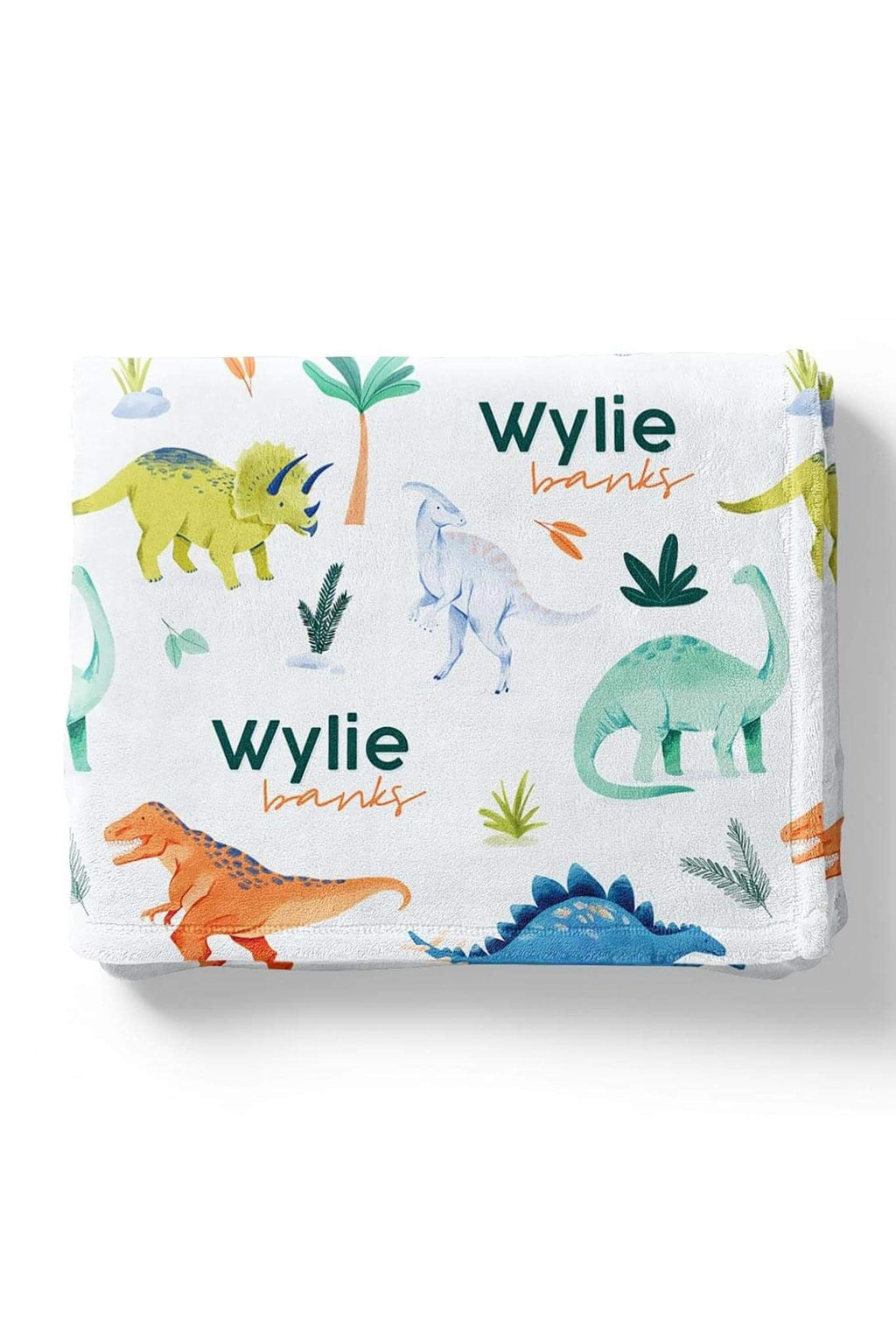 Personalized Sherpa Kids Blanket | Prehistoric World